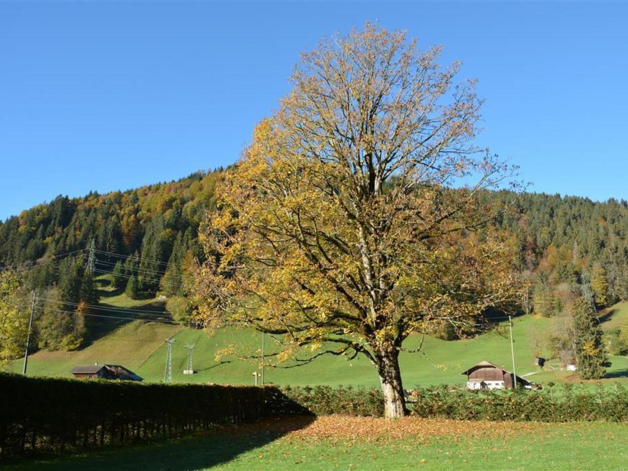 Apartment Oberland Nr- 3 By Interhome Gstaad Exterior foto